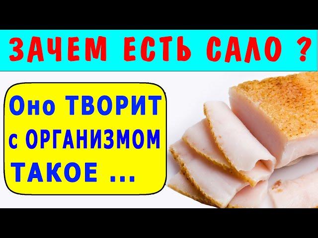 Зачем ЕСТЬ САЛО Пожилым и Молодым - Польза Сала для Организма