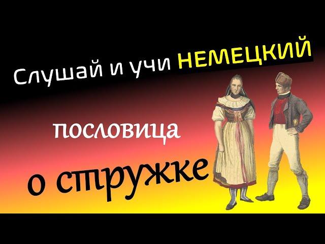 Слушай и учи немецкий / Немецкая пословица: о стружке / hör zu und lerne Deutsch