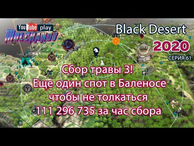 Сбор Травы 3. Black Desert Фарм серебра 2020. Лучница. Баленос.