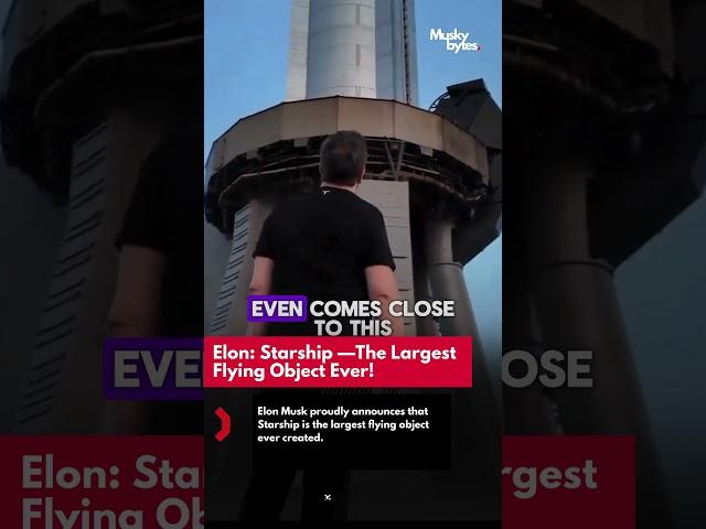 Elon Musk: Starship—The Largest Flying Object Ever!   #ElonMusk #Starship #SpaceInnovation #Spacex