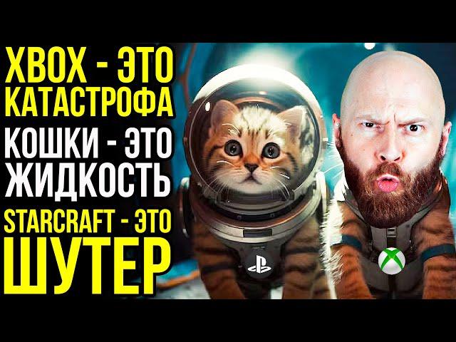 XBOX - это катастрофа. Кошки - это жидкость. StarCraft - это шутер