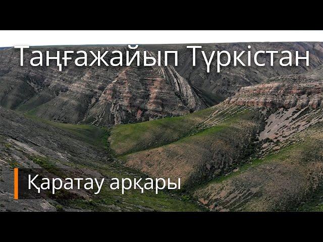 Таңғажайып Түркістан. Қаратау арқары