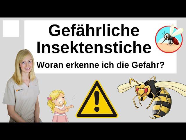 Gefährliche Insektenstiche - woran erkenne ich die Gefahr?