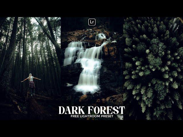 Dark Forest Preset | Lightroom Mobile Preset Free DNG | forest preset | dark tone | lightroom preset