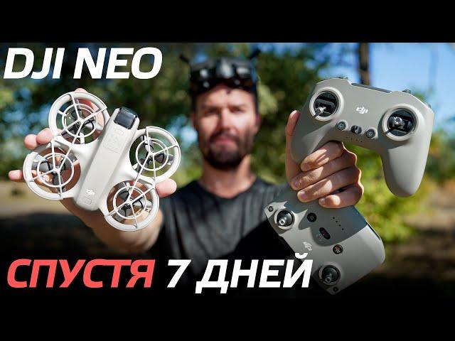 DJI NEO ОБЗОР ДРОНА СПУСТЯ 7 ДНЕЙ ПОЛЕТОВ НАСТРОЙКА КАМЕРЫ В ПРИЛОЖЕНИИ DJI FLY / ЛЕТАЕМ В FPV 