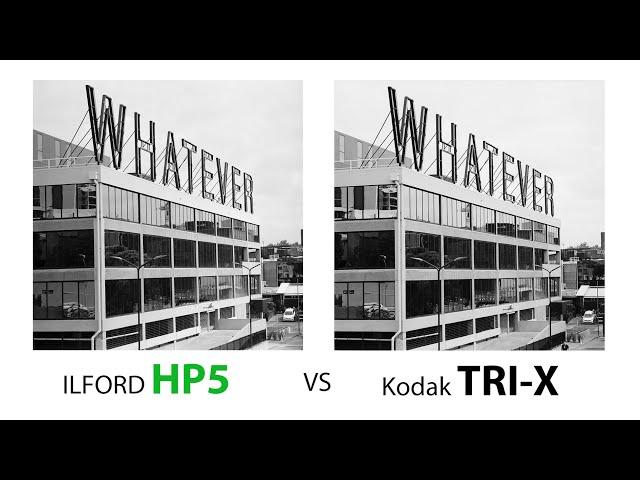 ILFORD HP5 PLUS vs Kodak TRI-X  | Hasselblad 503 CW