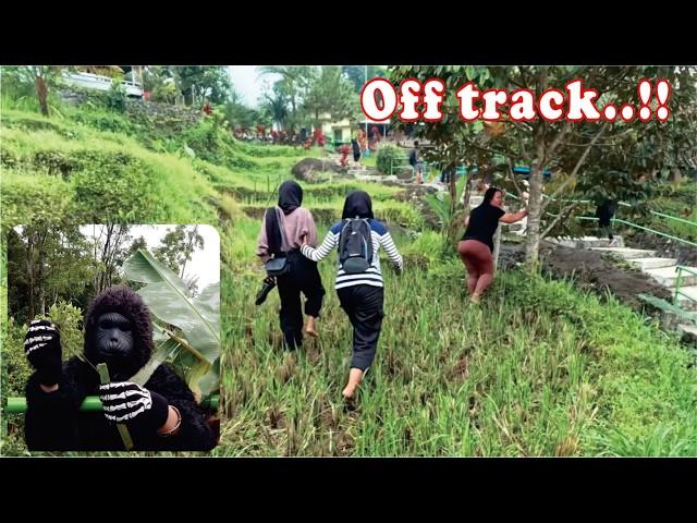 Ku coba menjadi Gorila || Funniest video