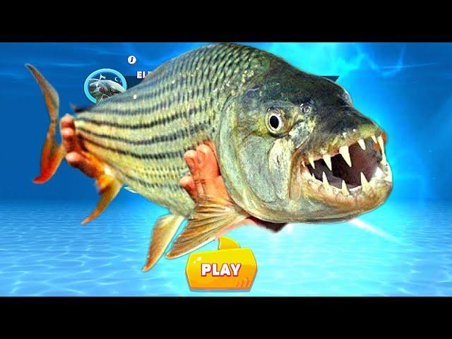 The Real Shark Evolution|| Hungry Shark Evolution ( 2012-2024)