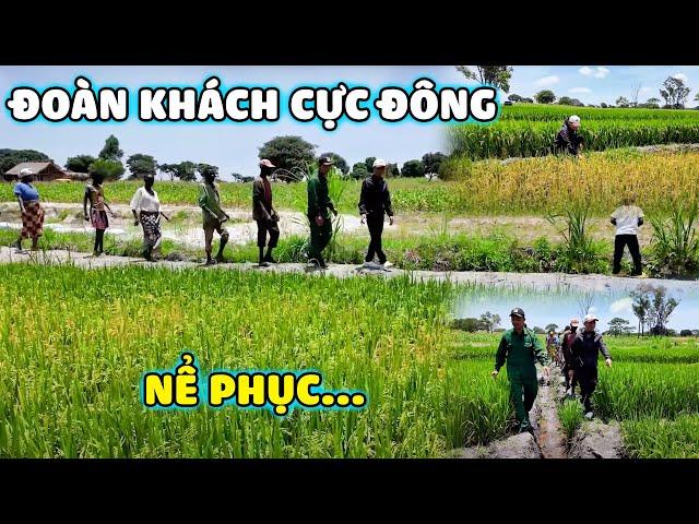 Đoàn Khách Cực Đông Nể Phục Với Những Gì Việt Nam Làm Được Trên Đất Châu Phi?