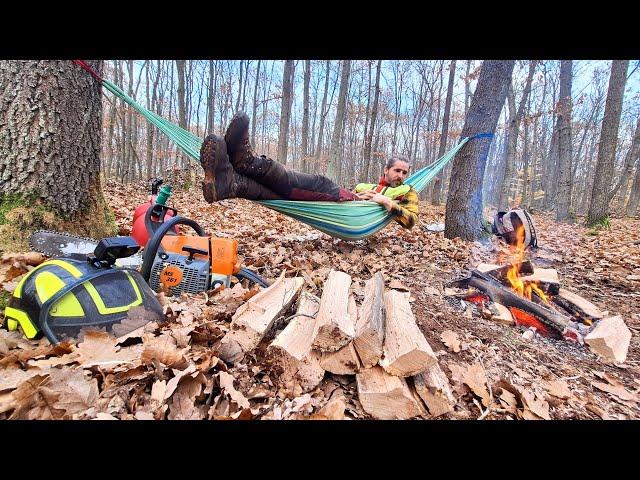 Comfort and relaxation when harvesting wood on a slope, Amles, MS 361, Zetor, Forestwork