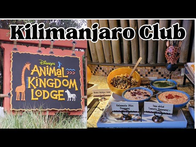 Staying CLUB LEVEL at Disney's Animal Kingdom Lodge | All Food and Drinks at Kilimanjaro Lounge