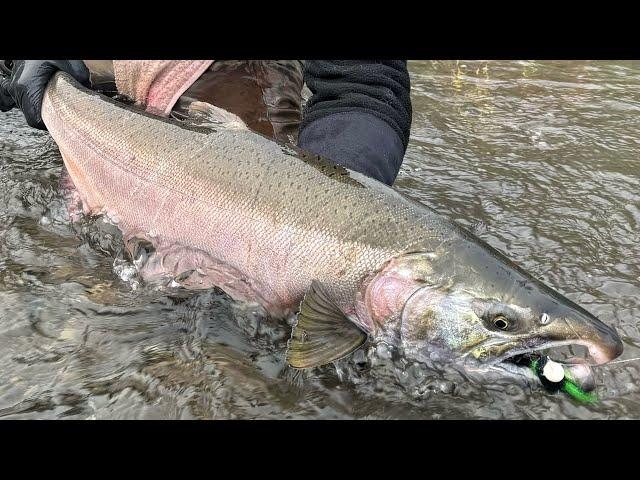 High Water Salmon Fishing Tips & Tricks (Small Rivers & Creeks)