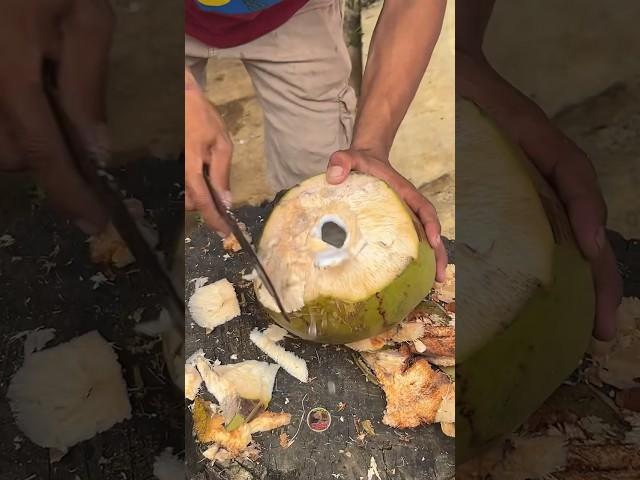 MINUM ES KELAPA MUDA TEMAN NYA BUKA PUASA #eskelapa