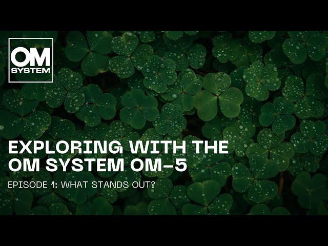 Exploring with the OM SYSTEM OM-5 | Episode 1: What stands out?