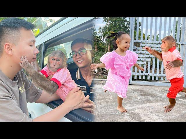 Best moments! Cutis said goodbye adoptive dad & Journey back home! Full version