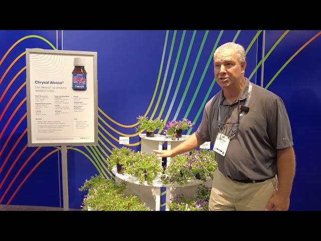 Chrysal Alesco® Explained by Syngenta Flowers Dr. Jamie Gibson | Cultivate'22