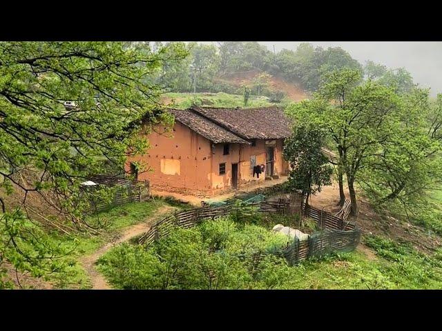 Fulfilling Her Mother's Wish, Filial Girl Renovated and Builds Ancestral House in the Countryside