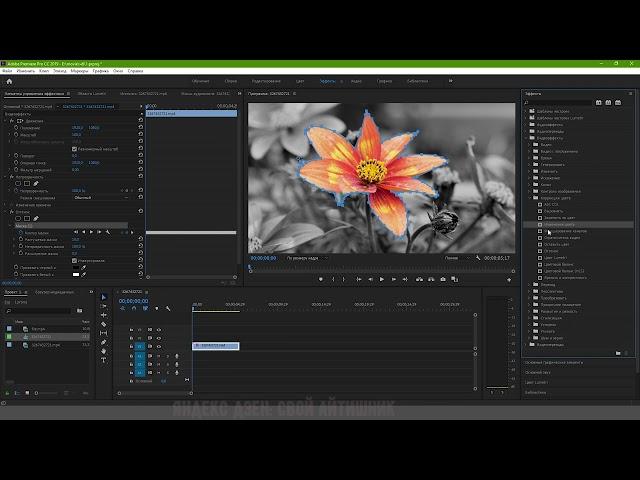 Premiere Pro: Цветной объект на черно-белом фоне