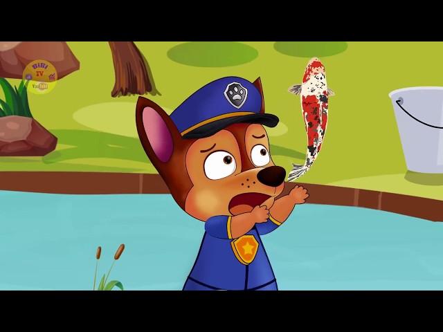 Funny Animated Cartoon | BiBi TV | Pups Save Chase & Skye Fishing Under The Lake | Cartoon For Kids