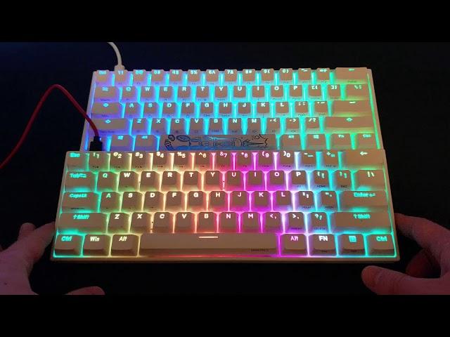 Ducky One 2 Mini vs Anne Pro 2