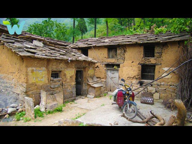 Having failed in business, single man renovates a rotten wooden house to make a living