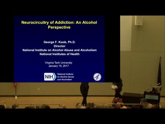 Neurocircuitry of Addiction: An Alcohol Perspective