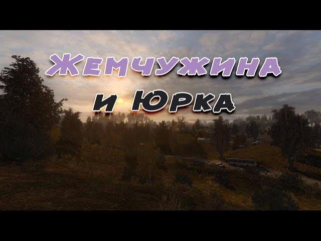 Сталкер . Путь человека . Шаг в неизвестность . Дежавю . Артефакт жемчужина или тайники Юрки Чирка.