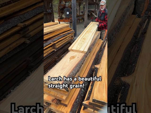 The Stunning Beauty of Larch Wood!
