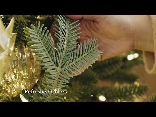 The All-New BH Fraser Fir®: A Sneak Peek | Balsam Hill®