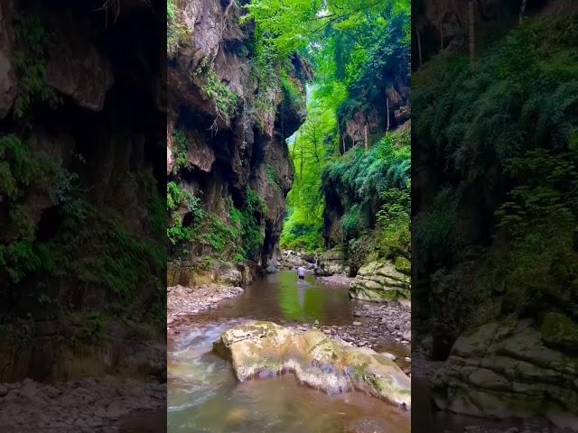 Faryab province- Garziwan district ️