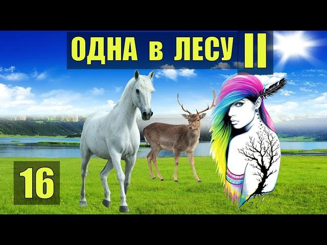 ЛОВУШКА для ОЛЕНЕЙ СТАДО - ОХОТА ВЫЖИВАНИЕ ОДНА В ЛЕСУ СУДЬБА ВСТРЕЧА РОБИНЗОН ЖИВОТНЫЕ 16