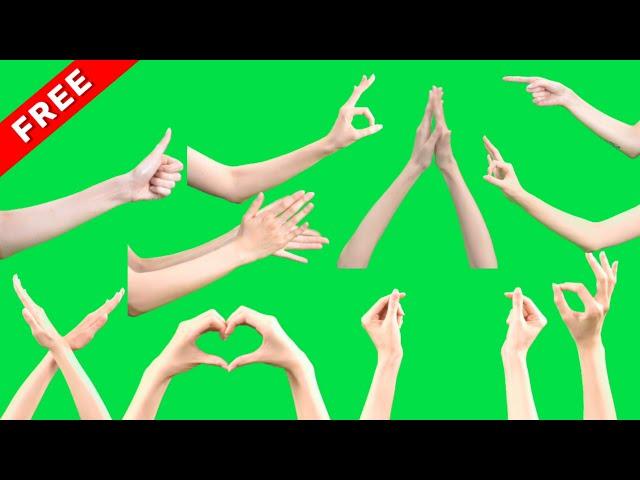 TOP 20 HAND SIGNS green screen