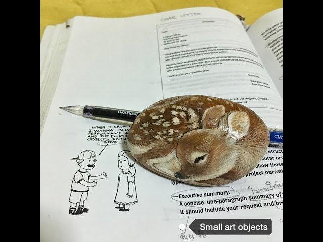 baby deer on rock