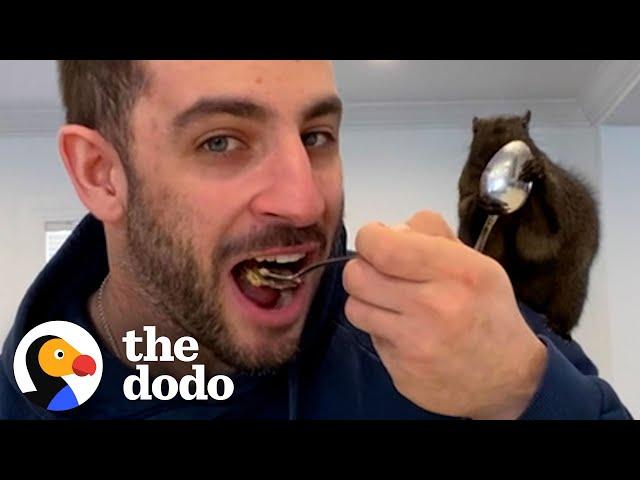 Guy And Rescued Squirrel Do Everything Together | The Dodo