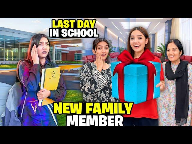 Zainab Ka Last Day in School|New Twin Family Members Agaye|Surprise Mill Gaya|Sistrology