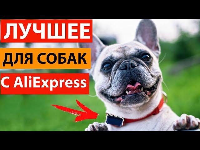 Полезные товары для собак с Aliexpress. Ваш питомец останется довольным