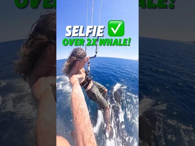 Crazy Kitesurfer jumps over two whales with a Kite! 