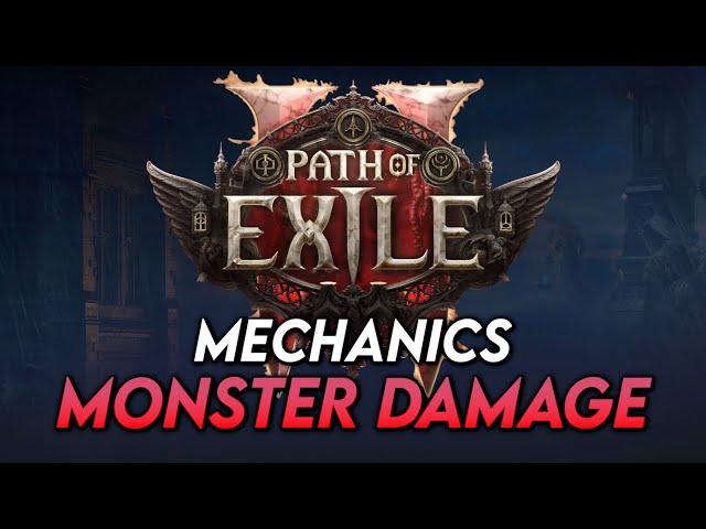 Path of Exile 2 Mechanics: Monster Damage Categorisation