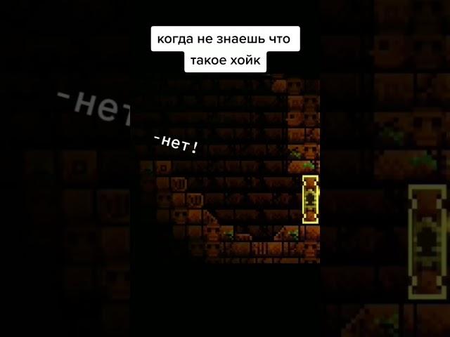 когда не знаешь что такое хойк в террарии #terraria #shorts #террария #шортс