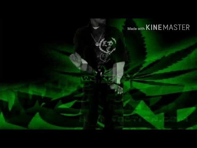 Snoop Dogg - Smoke Weed Every Day With Chroma Key (Green Screen)2018