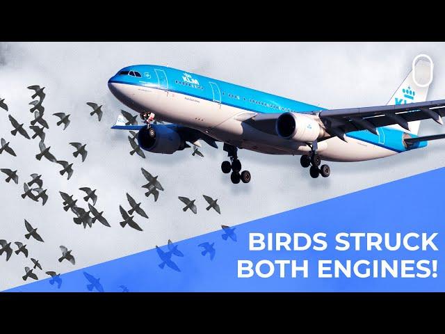 Bird Strikes In Both Engines: KLM Airbus A330-200 Diverts Back To Origin Airport