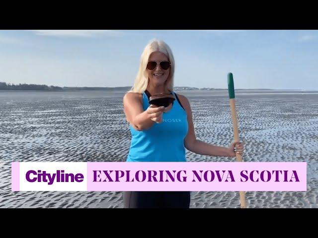 How to explore Nova Scotia like a local