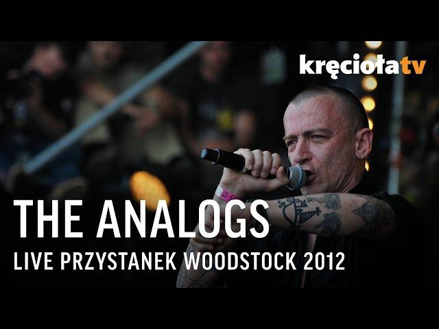 The Analogs LIVE Przystanek Woodstock