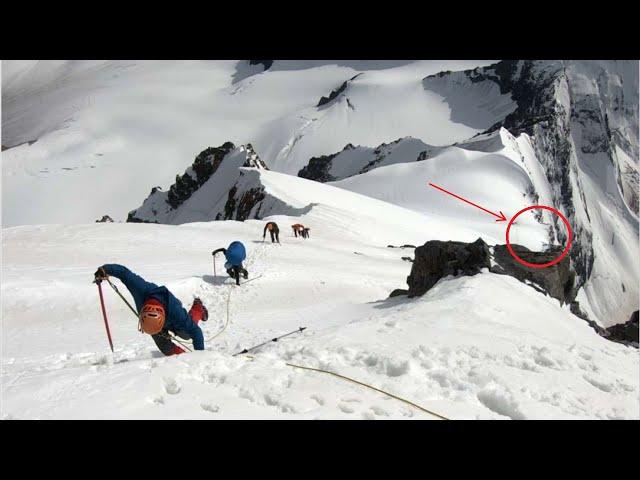 At an altitude of 5.5 km, the climbers almost fell out of FEAR when they saw who was coming to them!