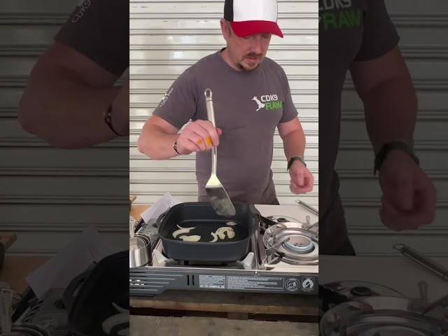 Bunnings sausage sizzle and Golden paste for dogs