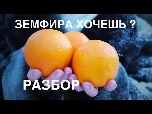 ЗЕМФИРА - ХОЧЕШЬ? // Разбор на УКУЛЕЛЕ