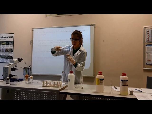 Mitotic Index Calculation Experiment