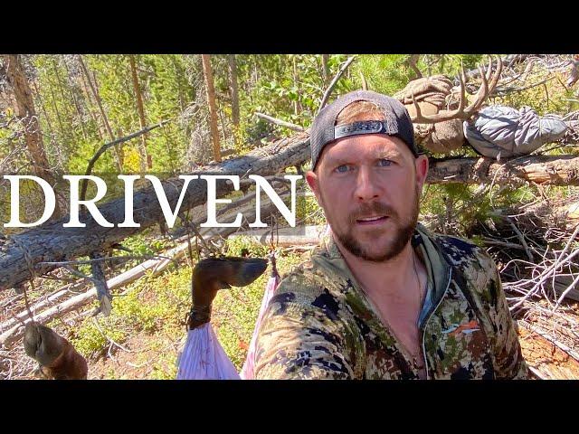 DRIVEN- OTC COLORADO ARCHERY ELK HUNT   HD 1080p