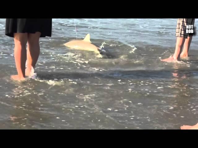 Boy Catches Shark Next to Garden City Pier - Myrtle Beach, SC