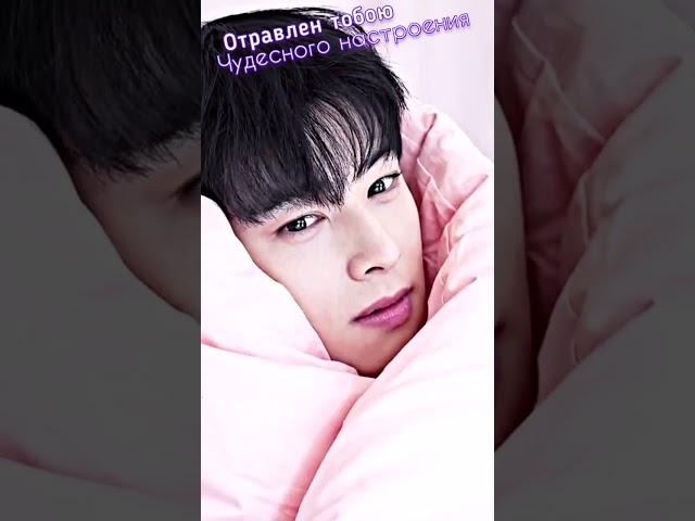 Для хорошего настроения️Cha Eun Woo #chaeunwoo #дорама #drama #kdrama